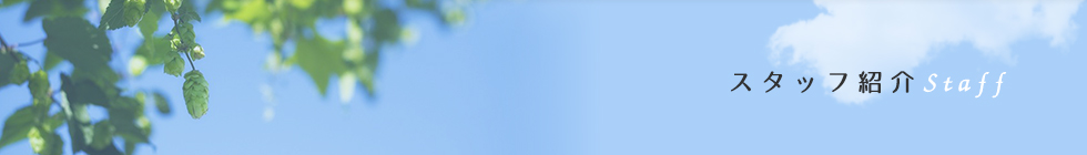 スタッフ紹介